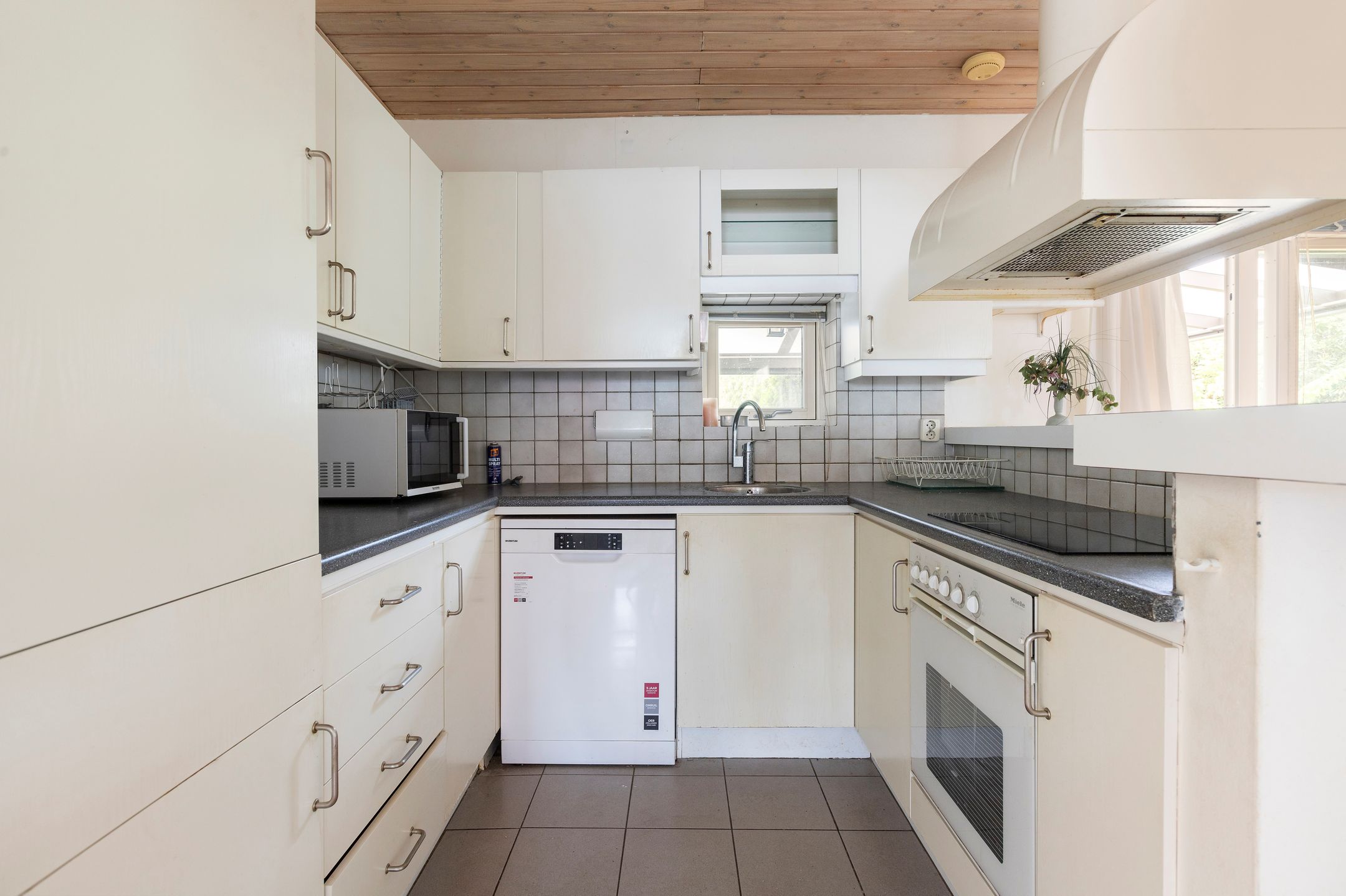 Foto 12 van Kievit 1