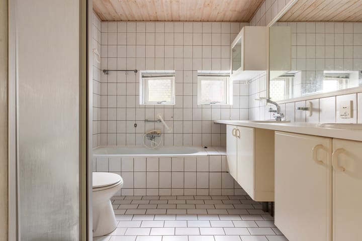 Foto 21 van Kievit 1