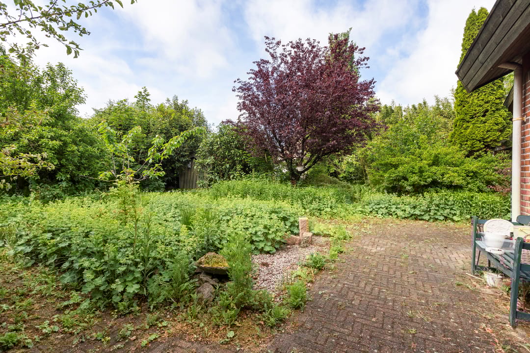 Foto 32 van Kievit 1