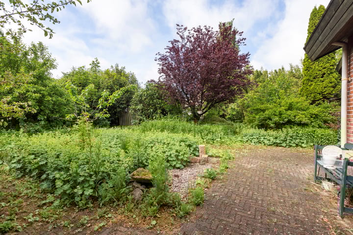 Foto 32 van Kievit 1