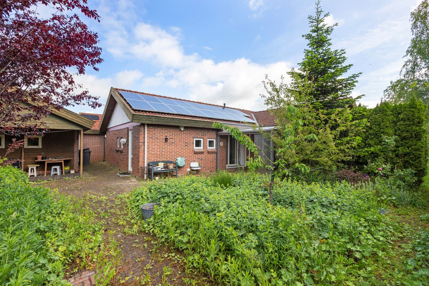 Foto 34 van Kievit 1