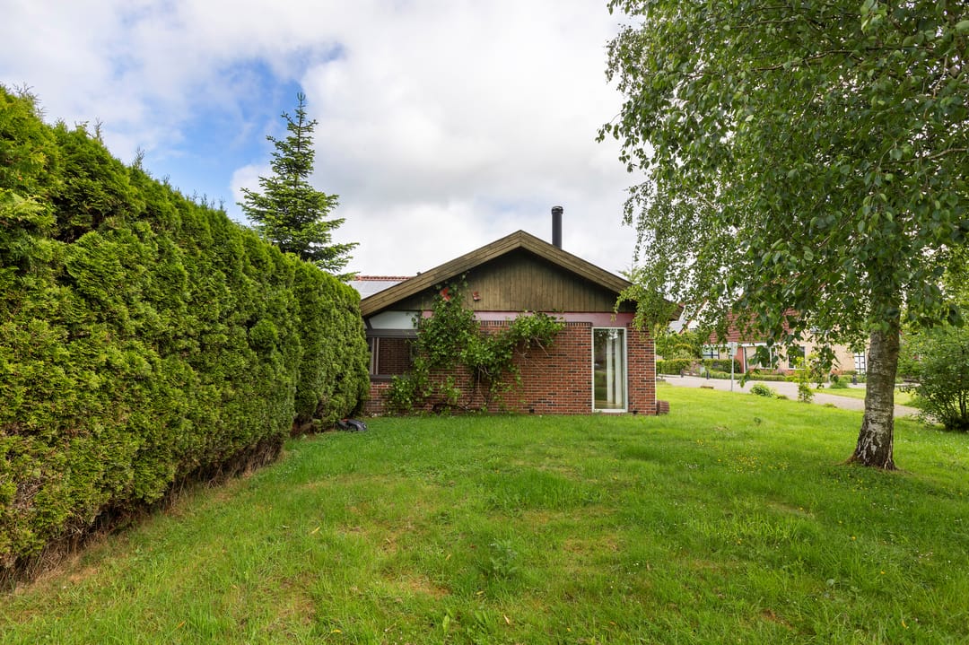 Foto 37 van Kievit 1