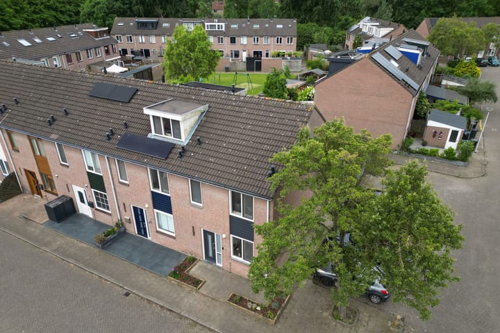 Foto 7 van Nereus 11