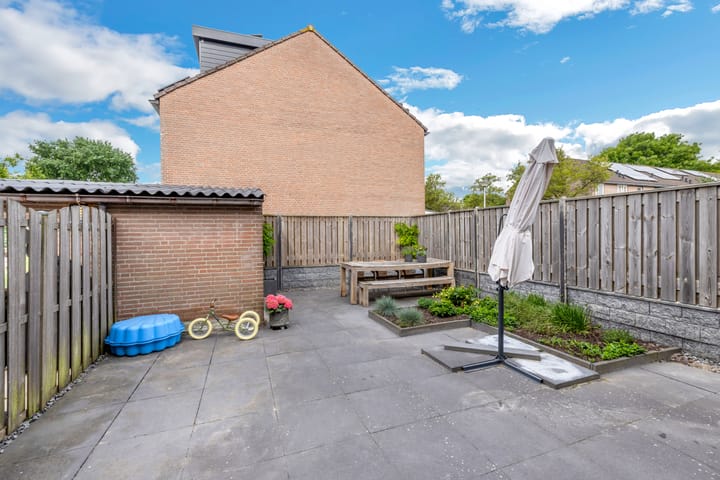 Foto 23 van Nereus 11