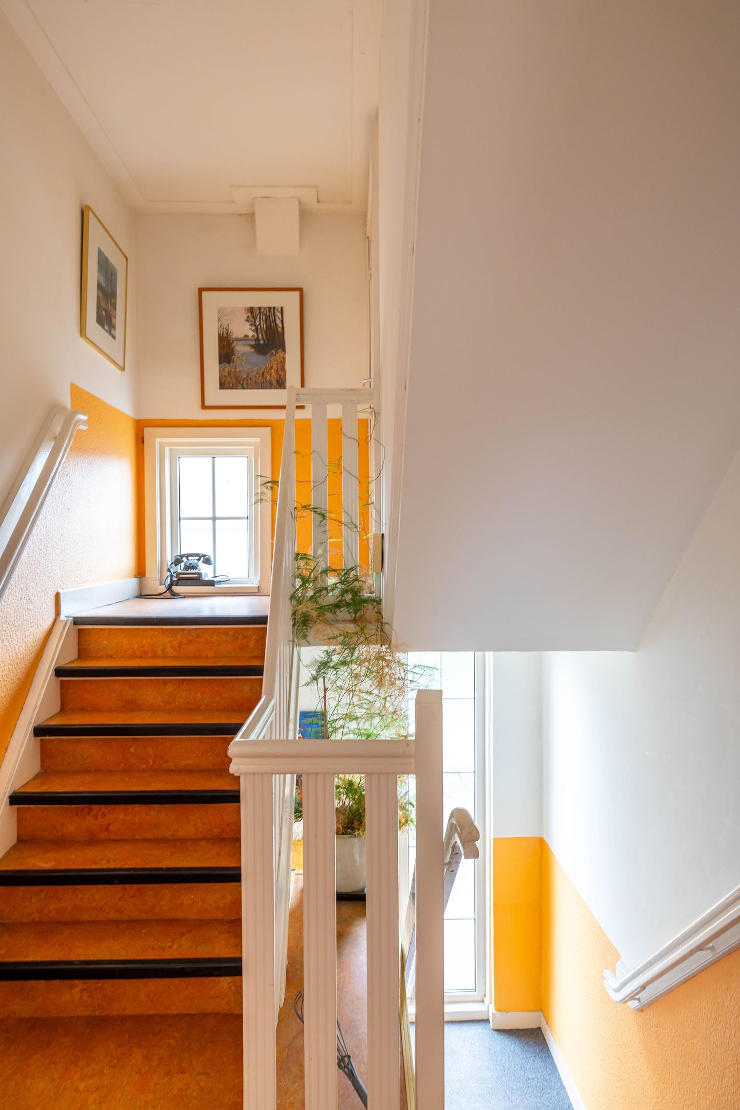 Foto 25 van Peizerweg 59-B