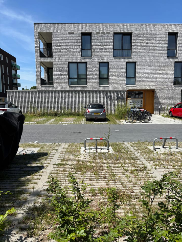 Foto 6 van Molenslag