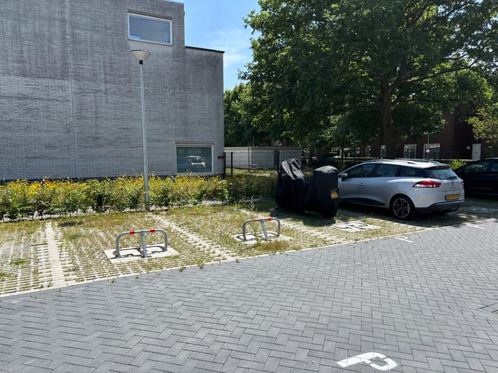 Foto 3 van Molenslag