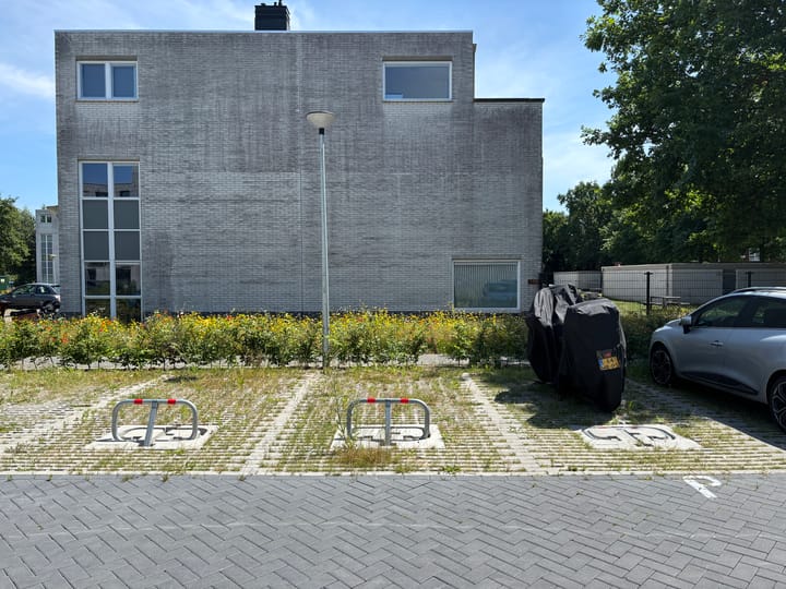 Foto 2 van Molenslag