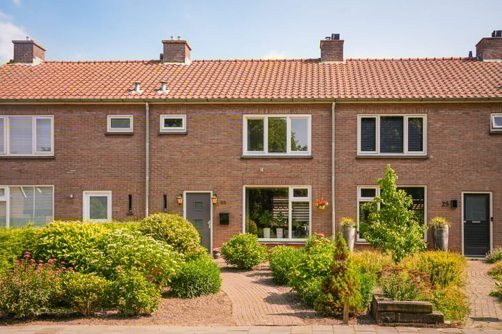 undefined main image