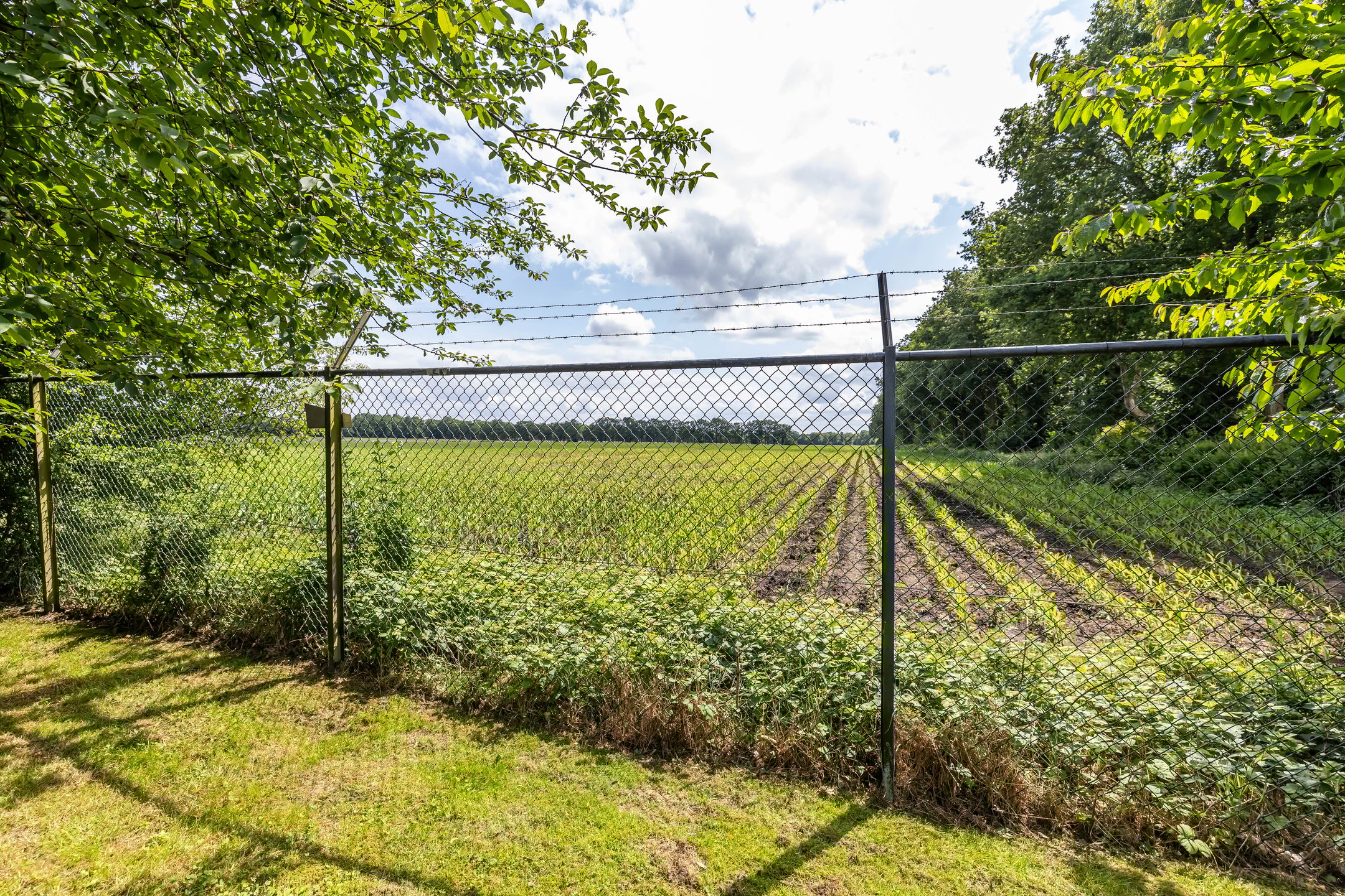 Photo 57 of Vriezerweg 15-A