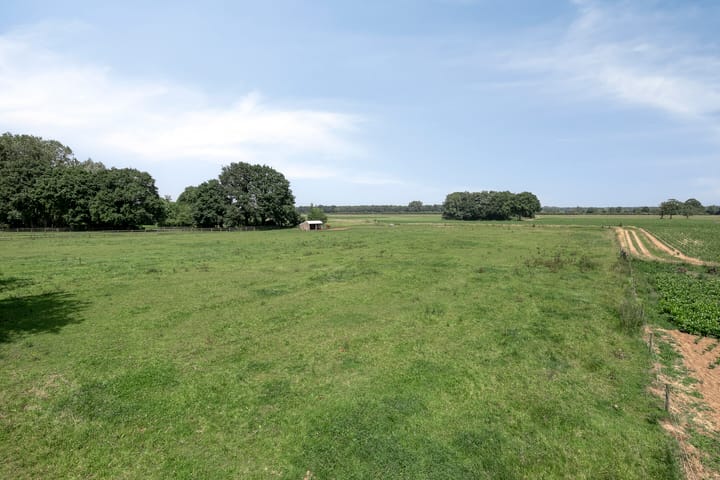 Photo 51 of Grotestraat 31