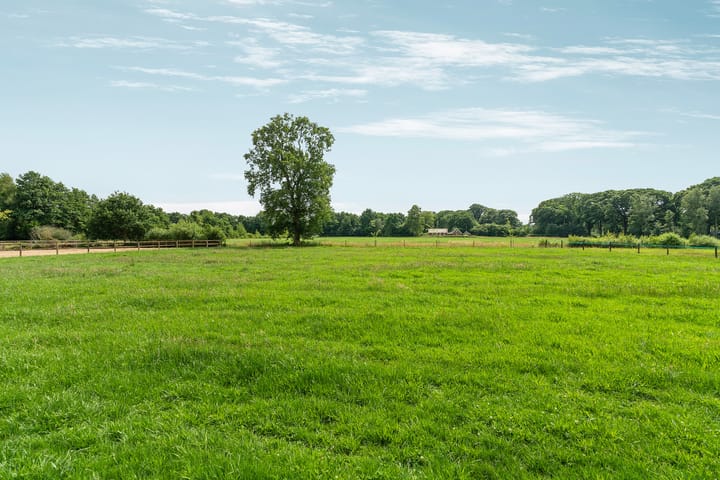 Foto 5 van Rhienderensestraat 49