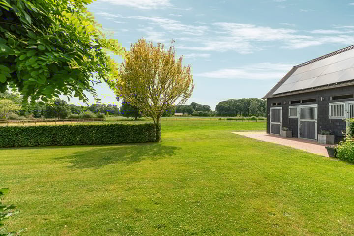 Photo 49 of Rhienderensestraat 49