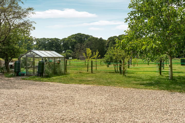 Photo 52 of Rhienderensestraat 49