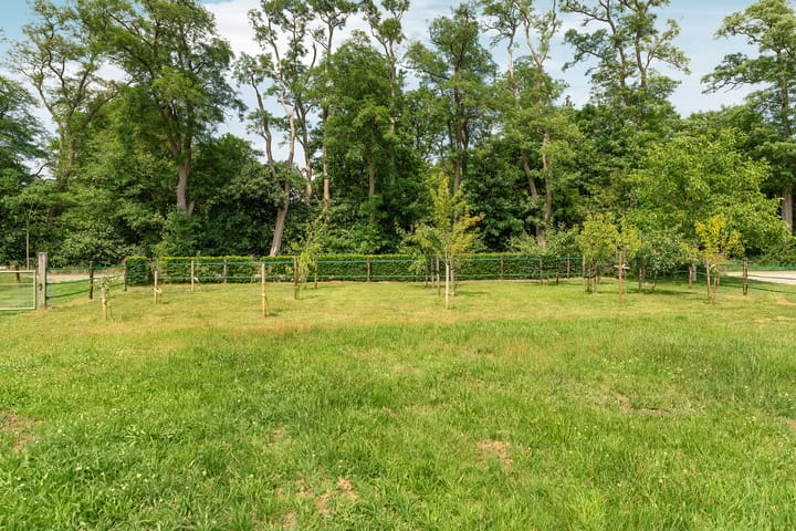 Photo 54 of Rhienderensestraat 49