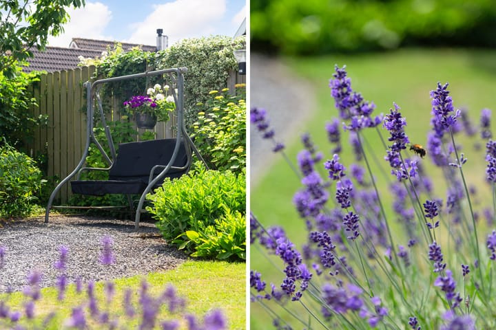 Photo 40 of Asterstraat 20