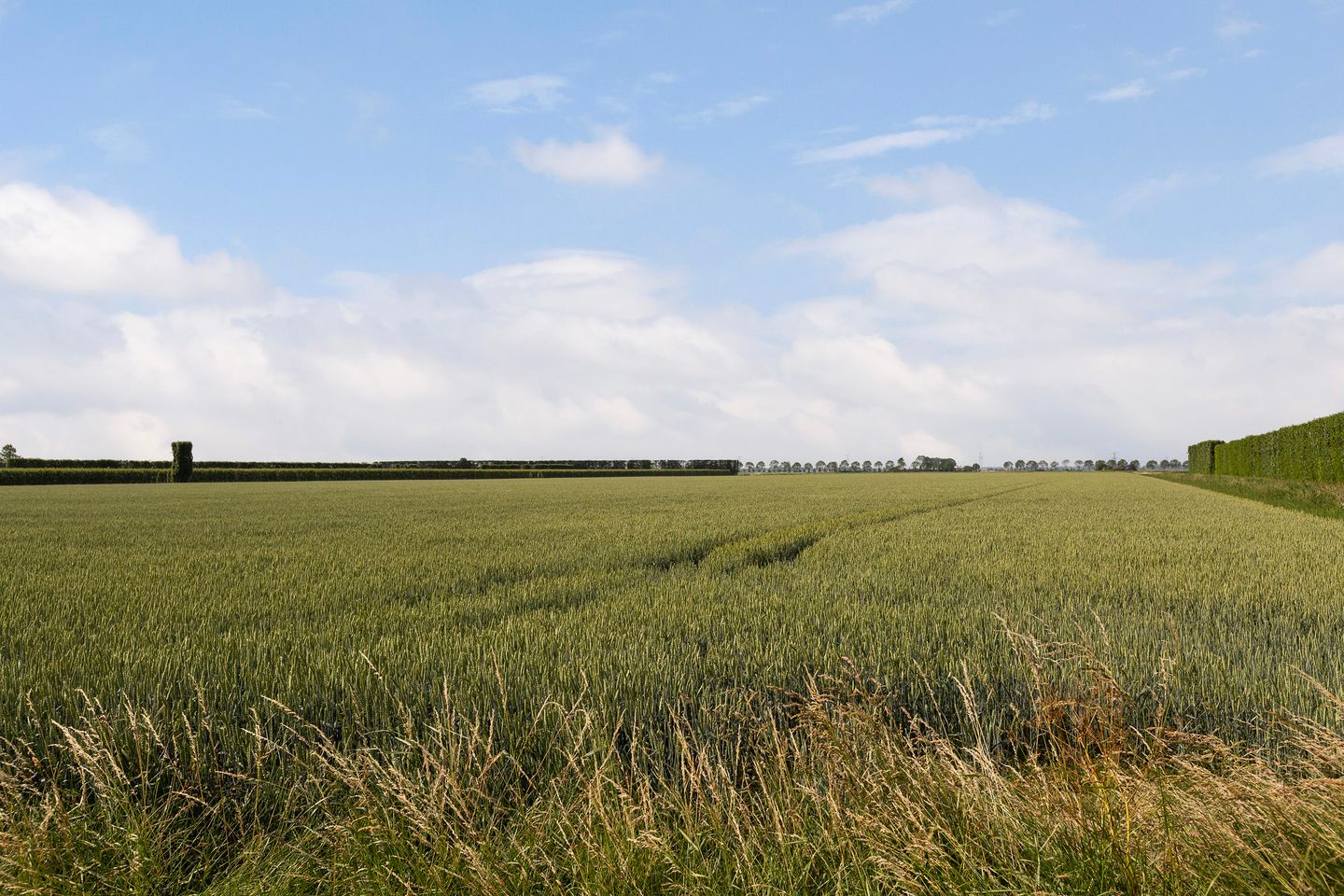Photo 59 of Asterstraat 20
