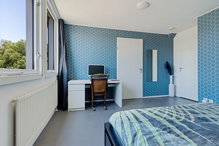 Foto 27 van Meindert Hobbema 14