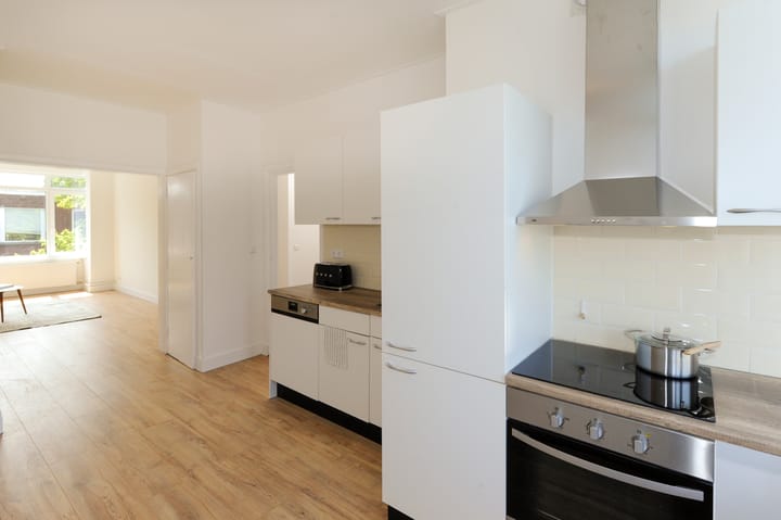 Foto 13 van Linnaeusstraat 213