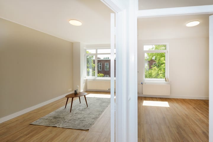 Foto 20 van Linnaeusstraat 213