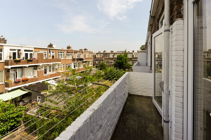 Foto 27 van Linnaeusstraat 213