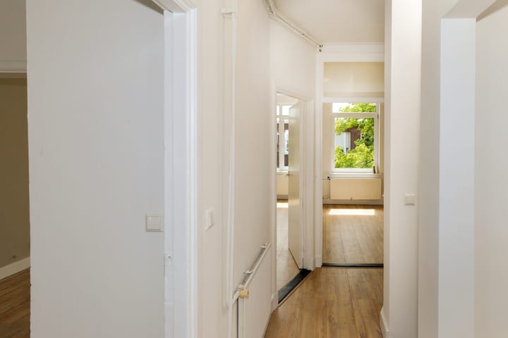 Foto 28 van Linnaeusstraat 213