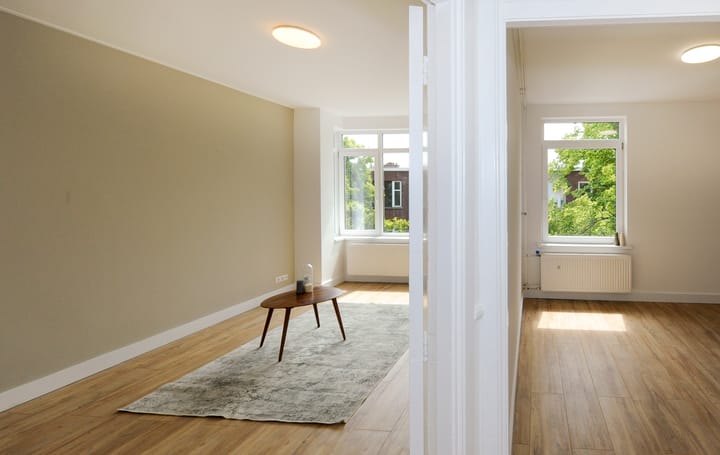 Foto 31 van Linnaeusstraat 213