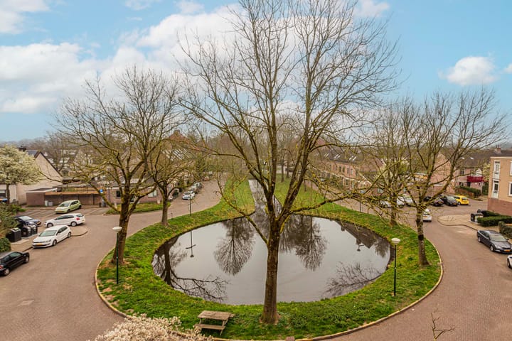 Foto 8 van Vrijhoef 64