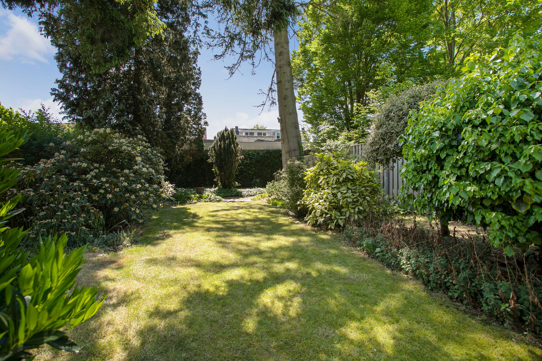 Foto 6 van Martinilaan 21