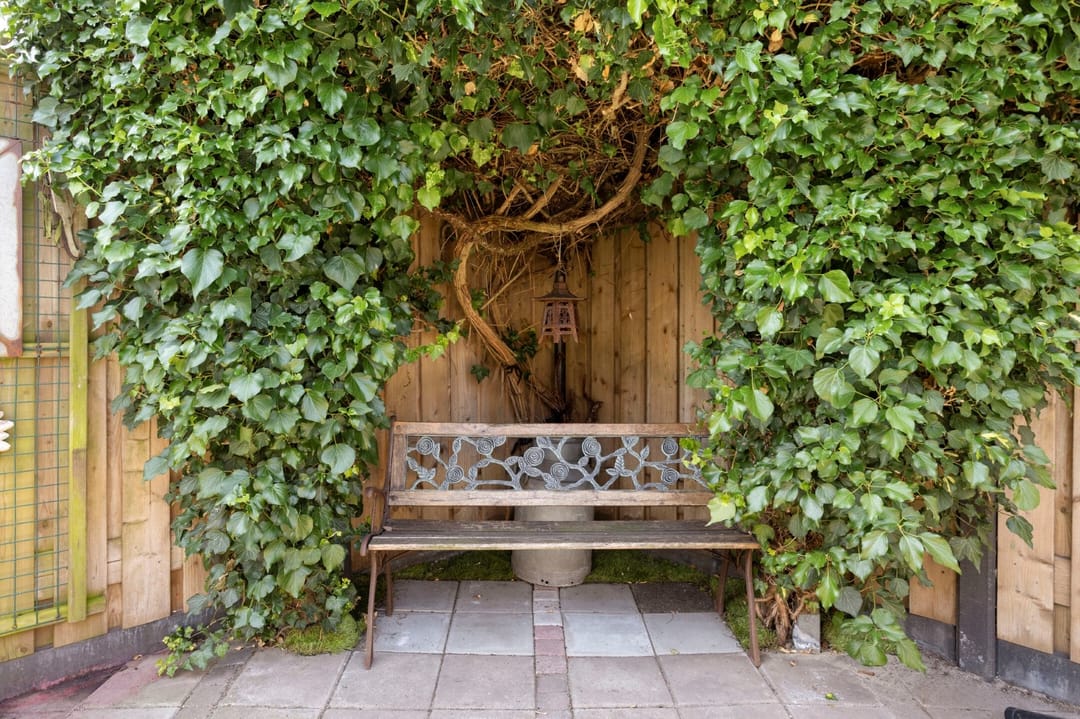 Foto 37 van Adriaan van der Kloosterstraat 111