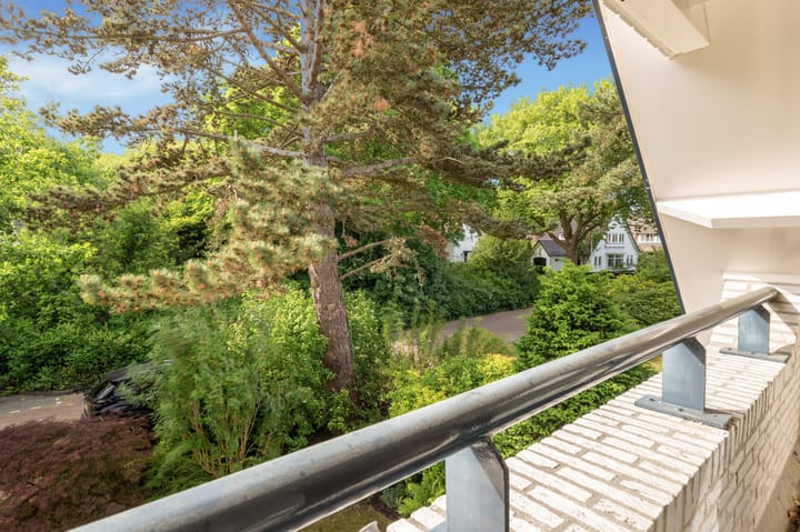 Foto 35 van Emmalaan 11