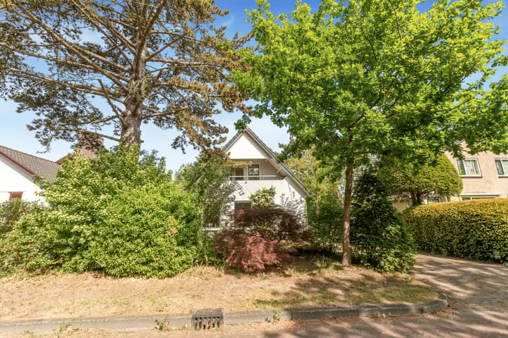 Foto 45 van Emmalaan 11