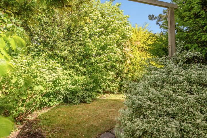 Foto 50 van Emmalaan 11