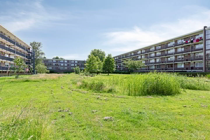 Foto 23 van Jan van Arkelstraat 120