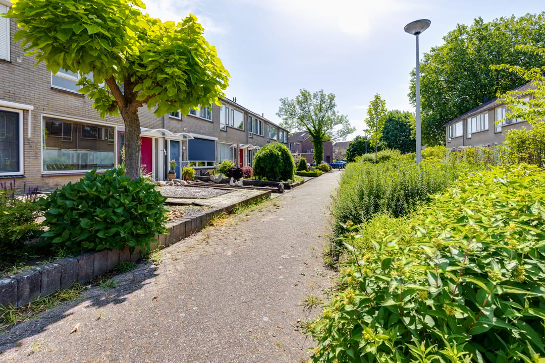 Foto 38 van Thorbeckestraat 83