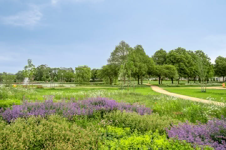 Foto 3 van Rupelstraat 33