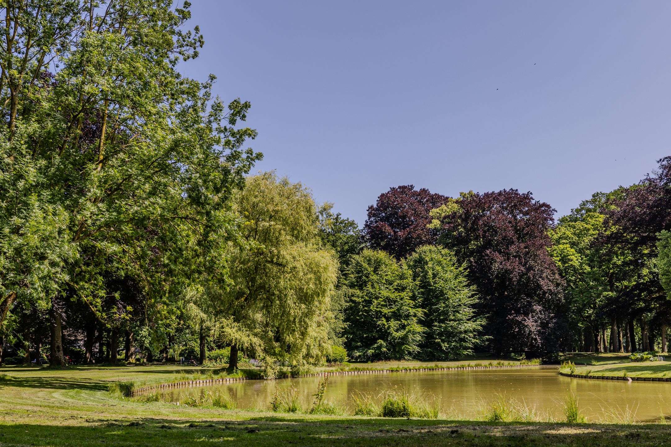 Photo 54 of Mr. Van Hasseltlaan 22