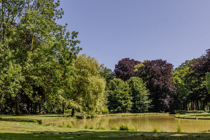 Foto 54 van Mr. Van Hasseltlaan 22