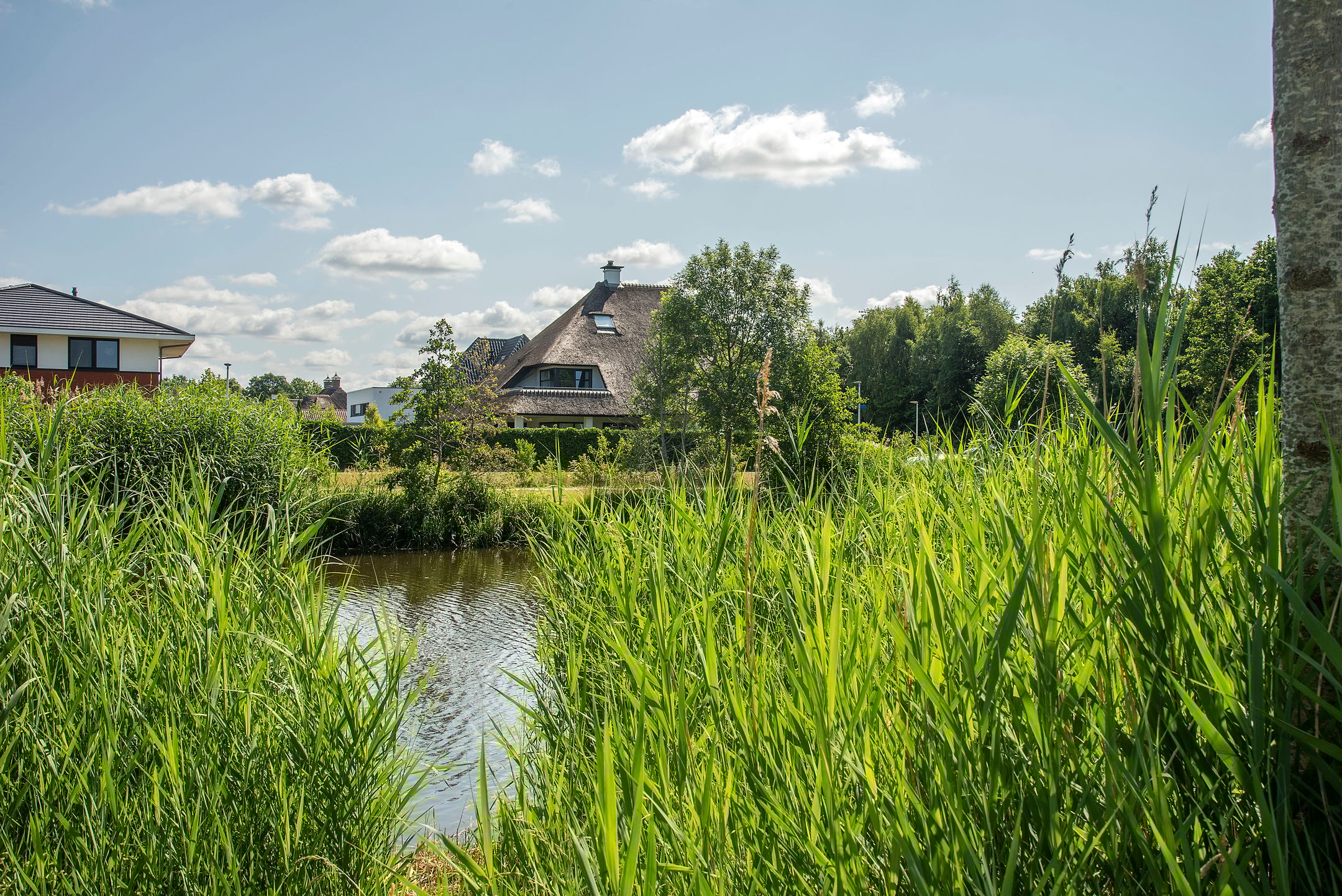 Foto 36 van Marke Elsen 8