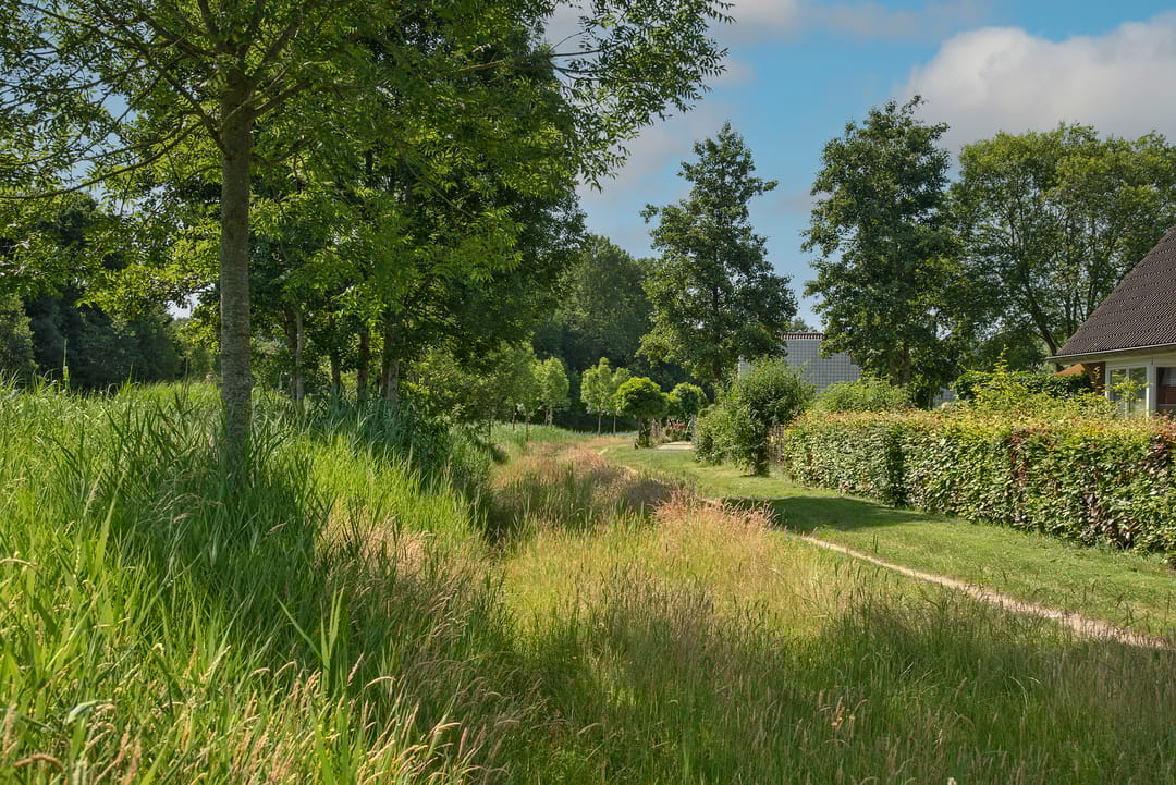 Foto 38 van Marke Elsen 8