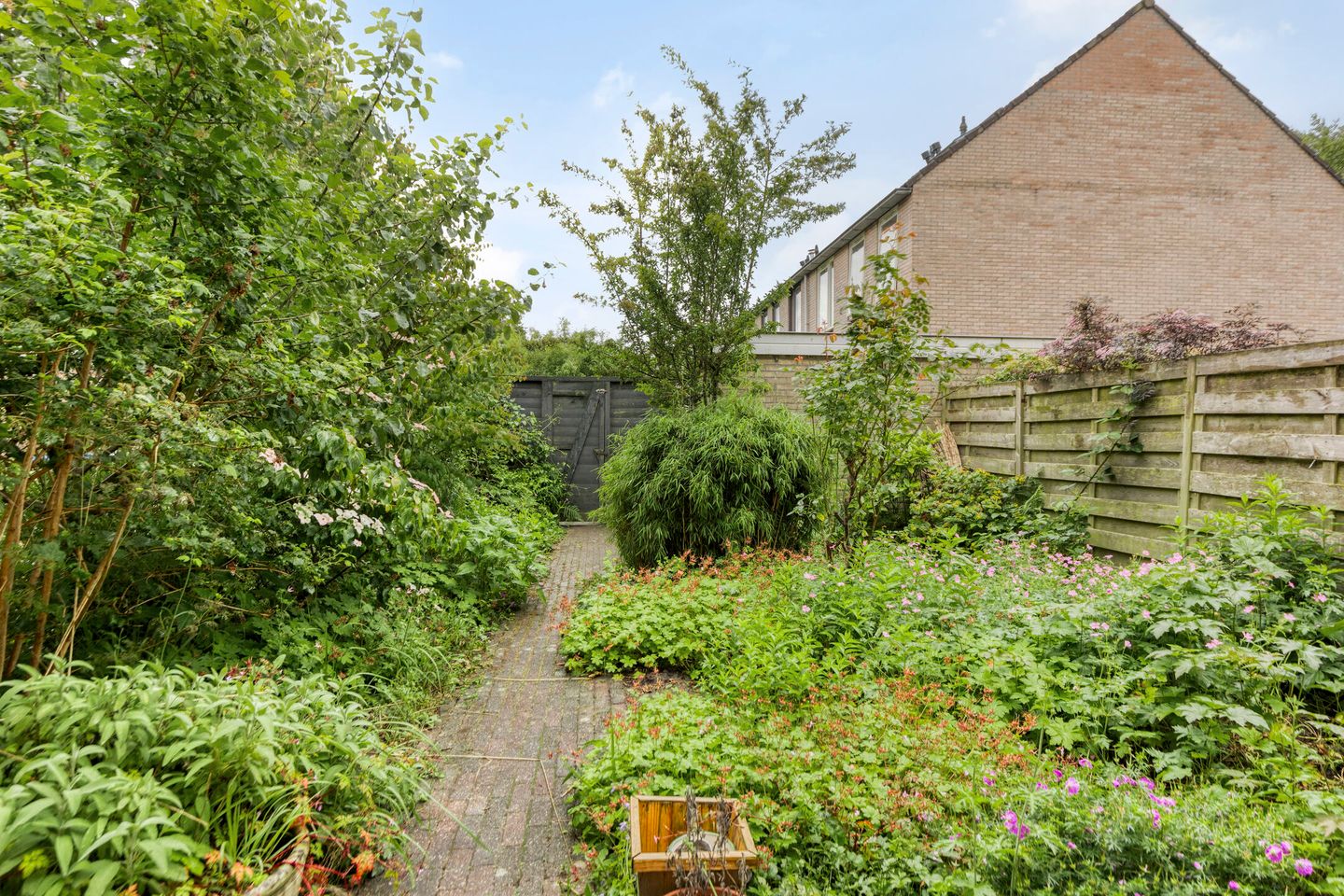 Photo 5 of Kruizemuntweg 19