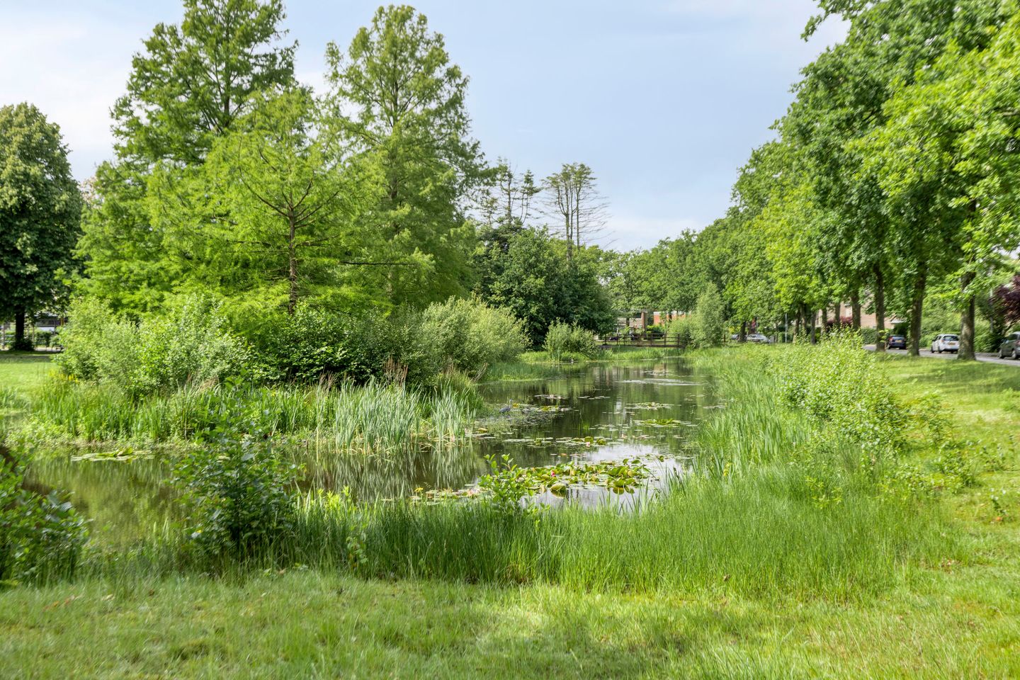 Photo 34 of Kruizemuntweg 19