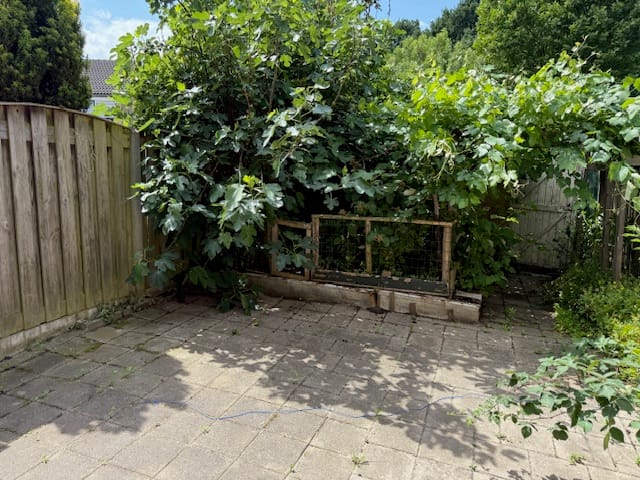 Foto 14 van Broedersdijk 13