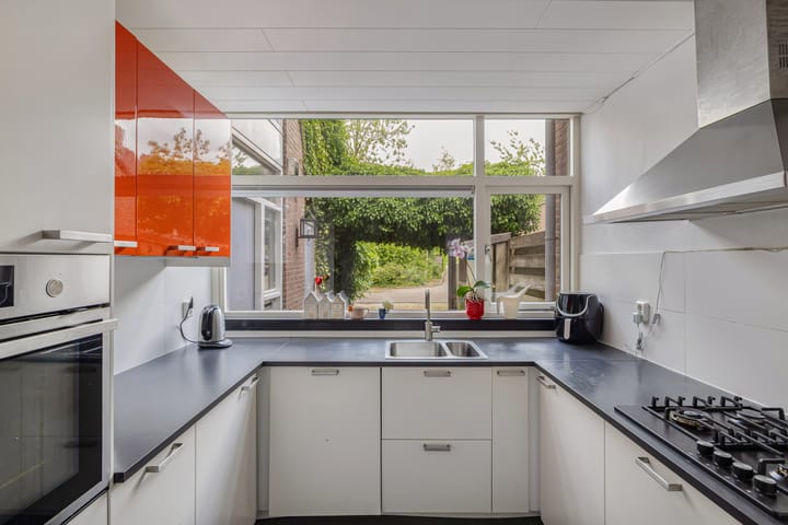 Foto 10 van Snoek 21