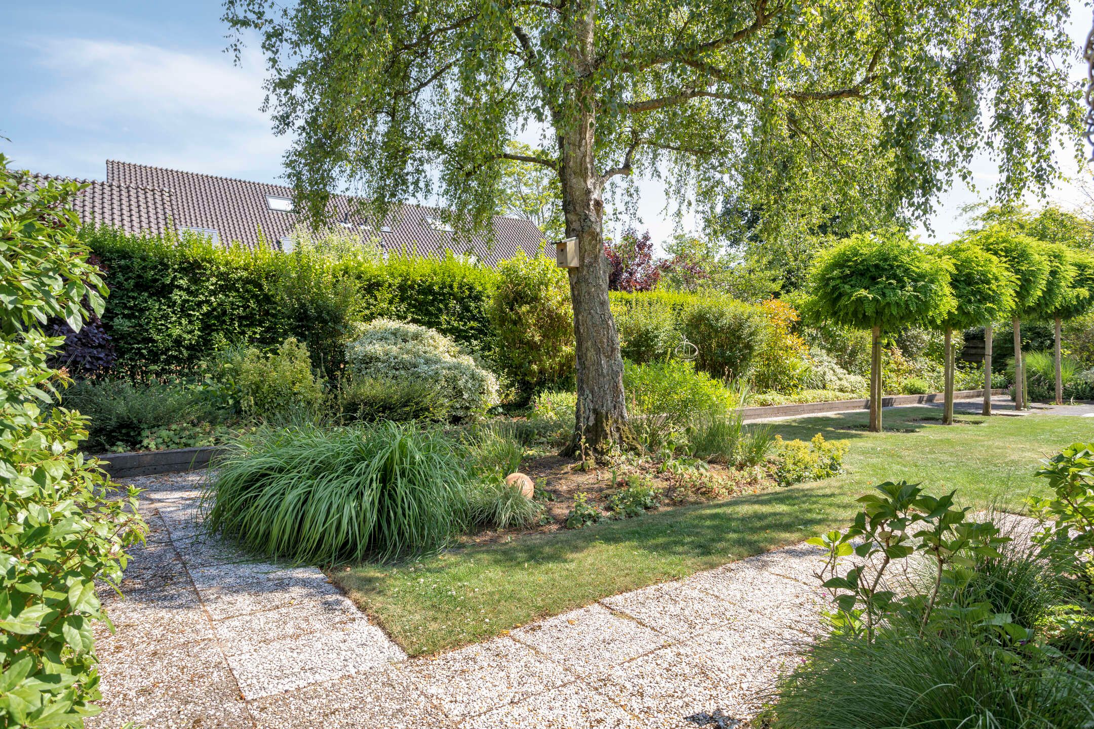 Foto 3 van A.van Burenlaan 3