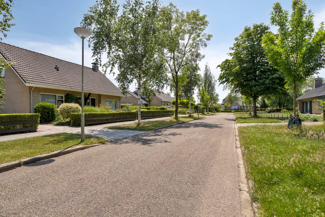 Foto 38 van A.van Burenlaan 3