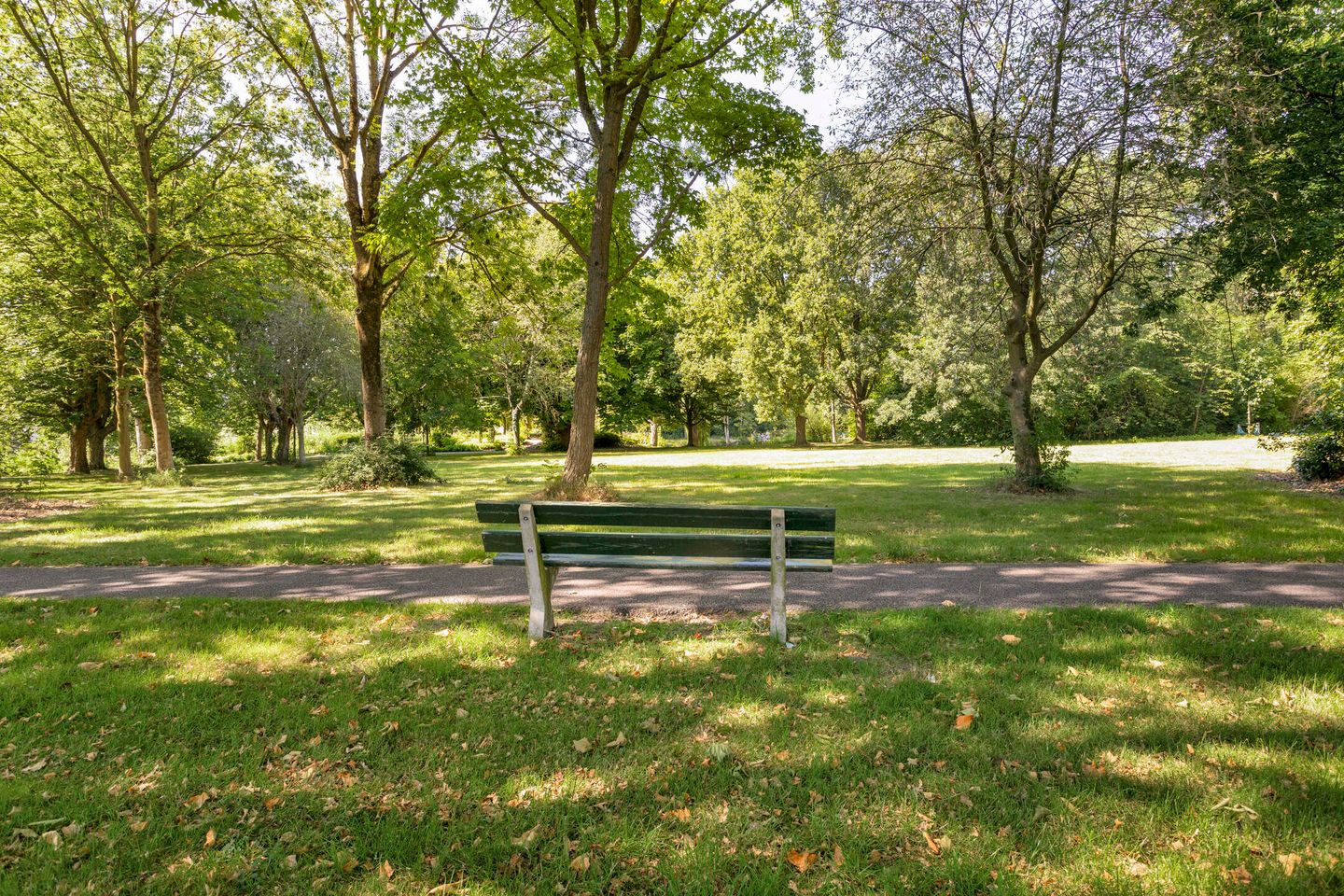 Foto 40 van A.van Burenlaan 3