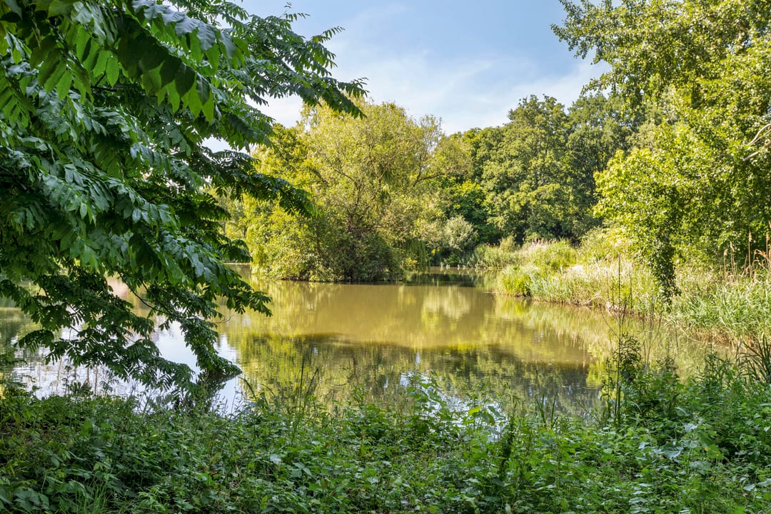 Foto 41 van A.van Burenlaan 3