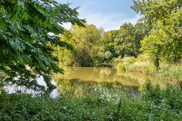 Foto 41 van A.van Burenlaan 3