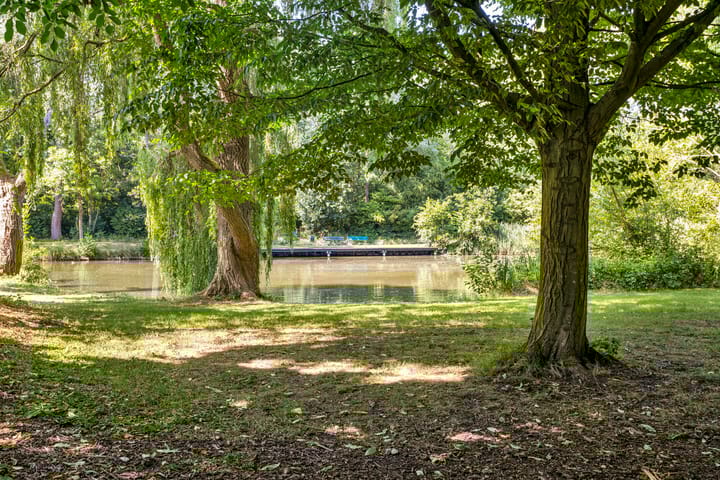 Foto 42 van A.van Burenlaan 3